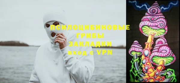 кокаин Каменка