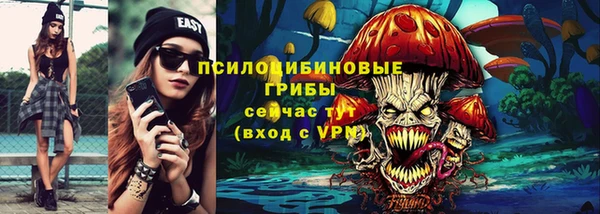 дурь Каменногорск